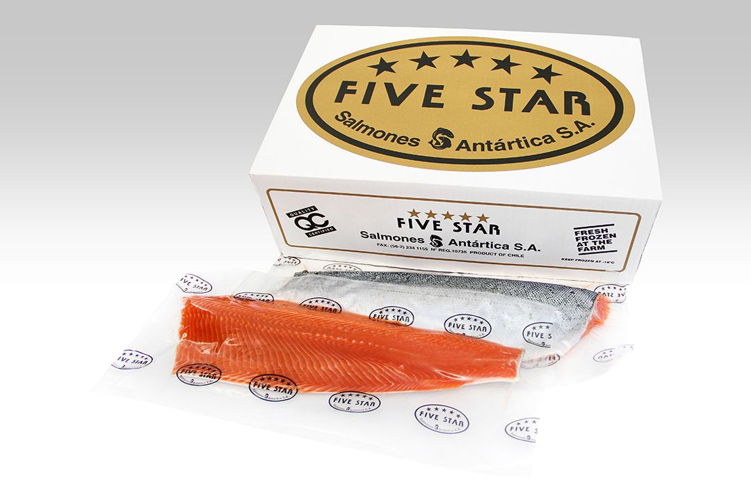 Trucha  Trout Steelhead Box Trim D Five Star
